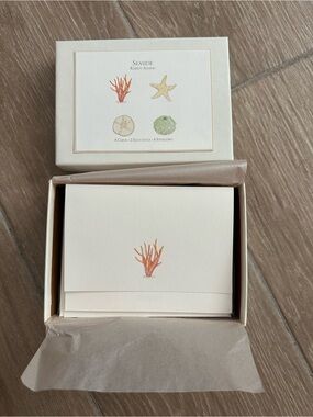 Seaside Karen Adams Seashell blank greeting cards with envelopes